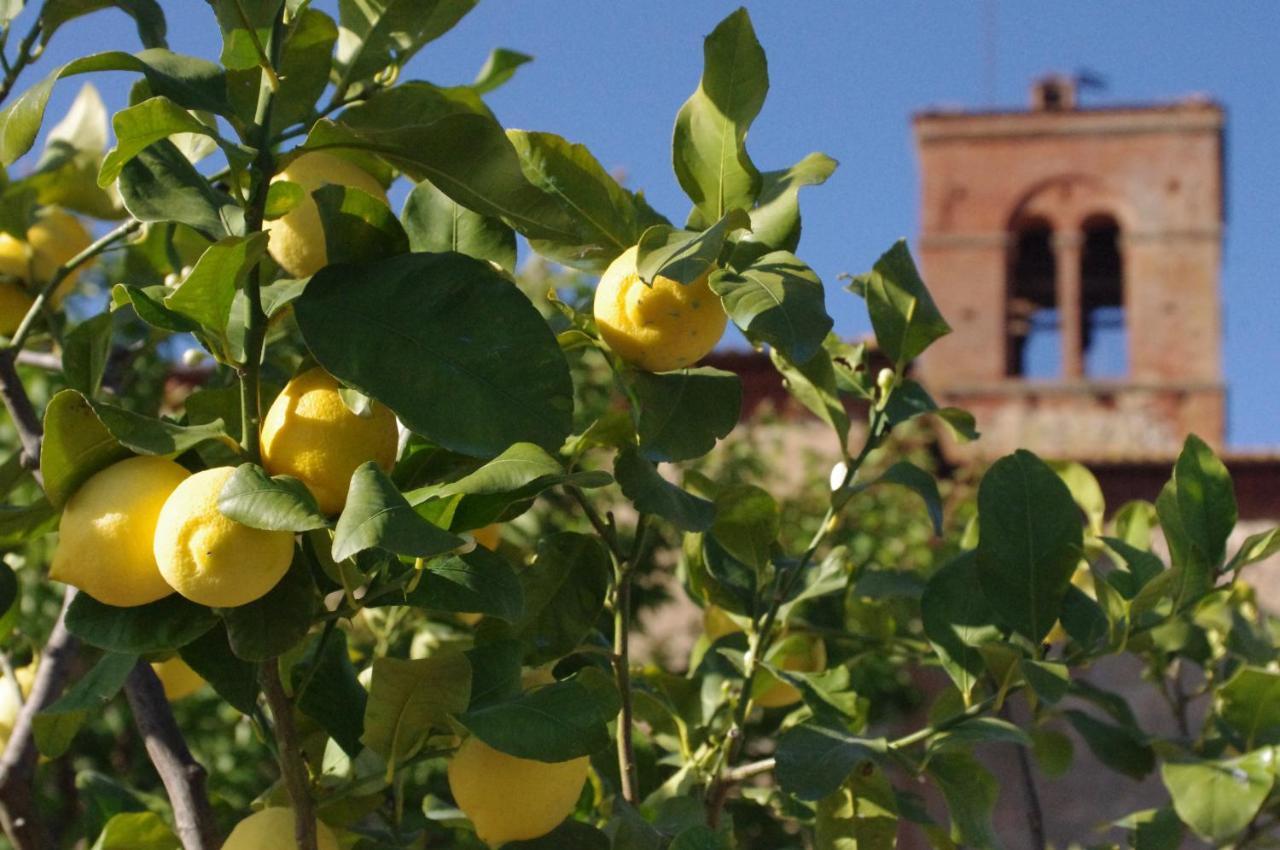 Villa Monastero Sant'Anna In Camprena Pienza Exterior foto